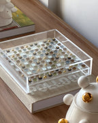 Permeabilidade Terrena