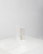 Entre O Tempo e o Instante